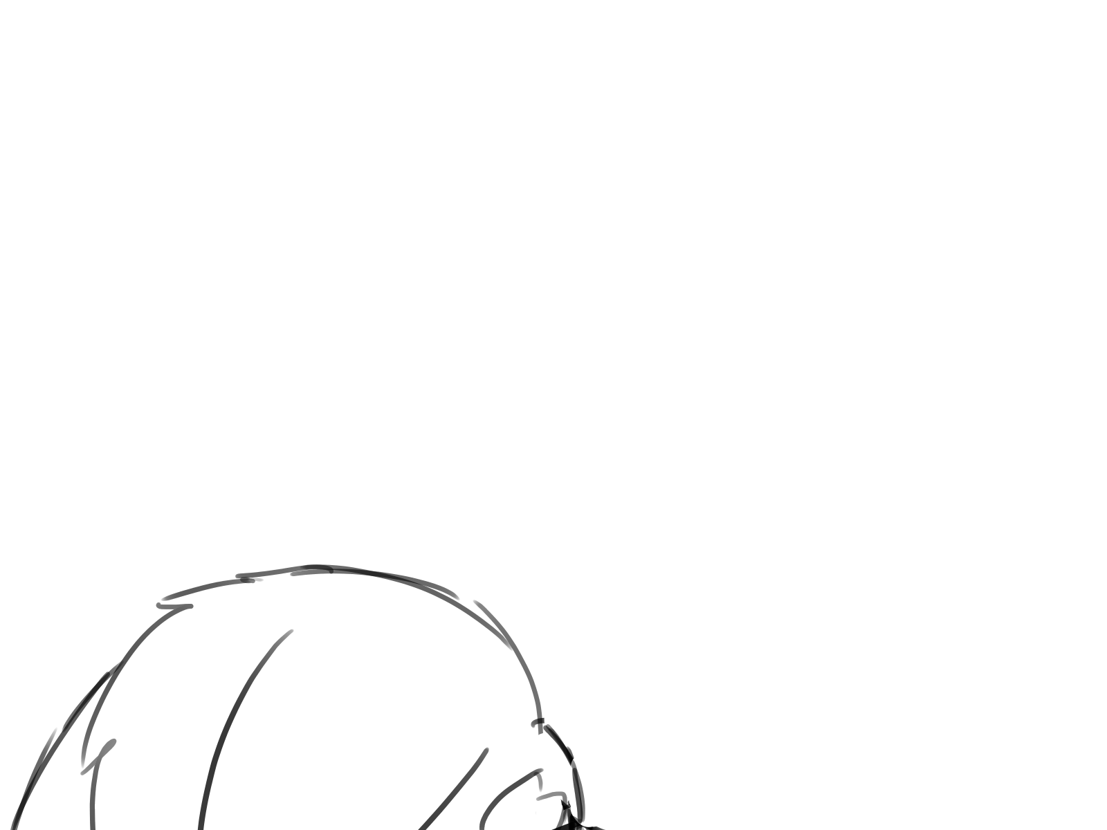 Flop (practice)