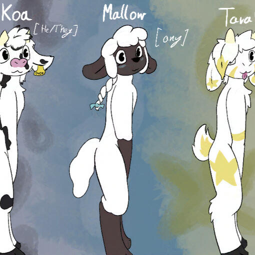 Koa, Mallow, Tarak (outdated)